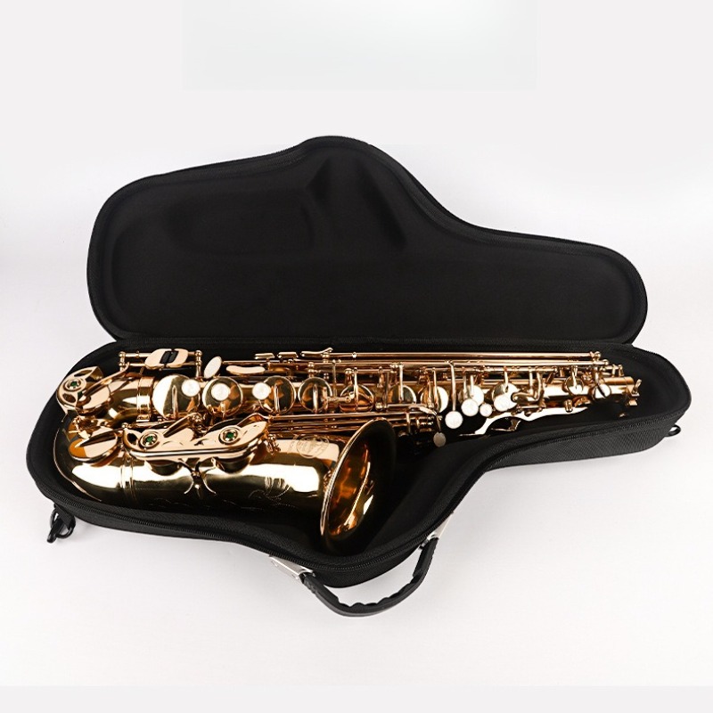 옥스포드 천 알토 색소폰 가방 두꺼운 충격 방지 휴대용 - Musical Instrument Saxophone 리뷰 및 가격