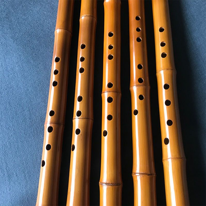 8홀 대나무 샤오 중국 전통 수직 대나무 플루트 초보자 - Musical Instrument Xiao 리뷰 및 가격